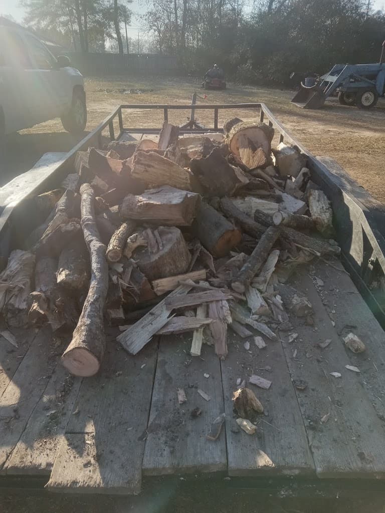 Trailer loaded with cut logs and tree debris from a yard cleanup